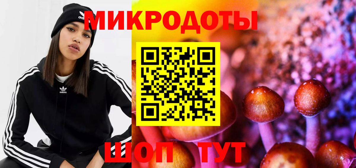 Псилоцибиновые грибы Psilocybe  Вход с VPN  купить наркоту  Муром 